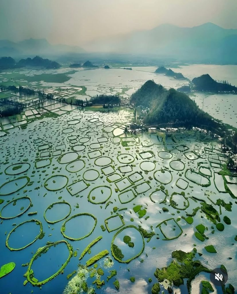 keibul lamjao (loktak lake), manipur