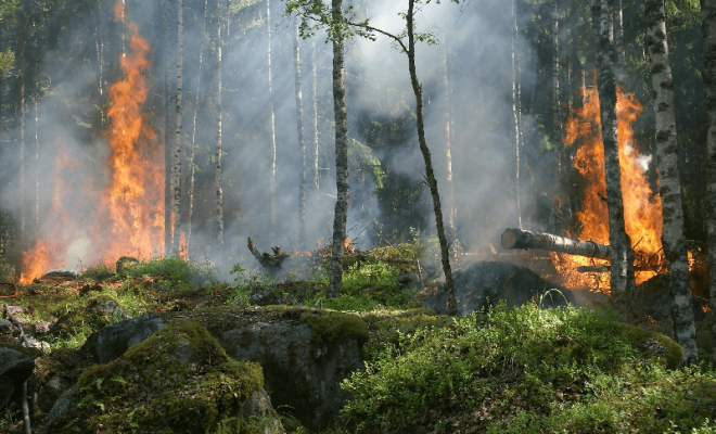 wildfires in history