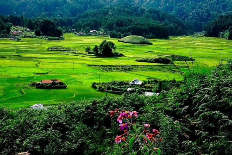 ziro valley, arunachal pradesh