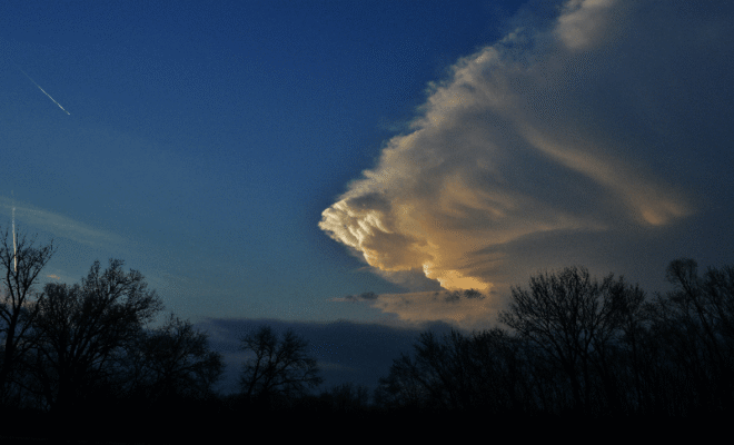 weekly weather forecast