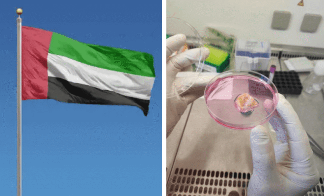 uae tils cancer therapy 2025