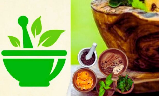 From Amla to Ghee – Ancient Ayurvedic Foods Powering Modern Wellness