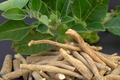 benefits of traditional Indian spices