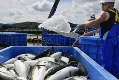 aquaculture boom in Asia