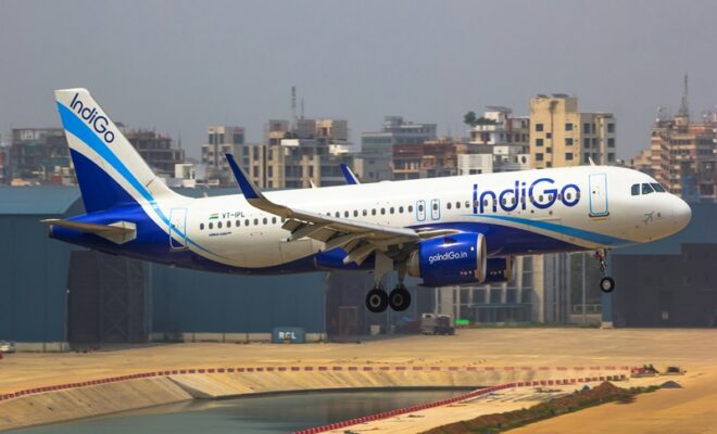 IndiGo flight cuts 2025