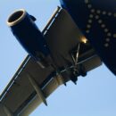 indigo flights cancellation