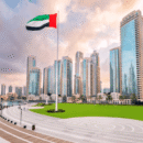 uae 2025 vision