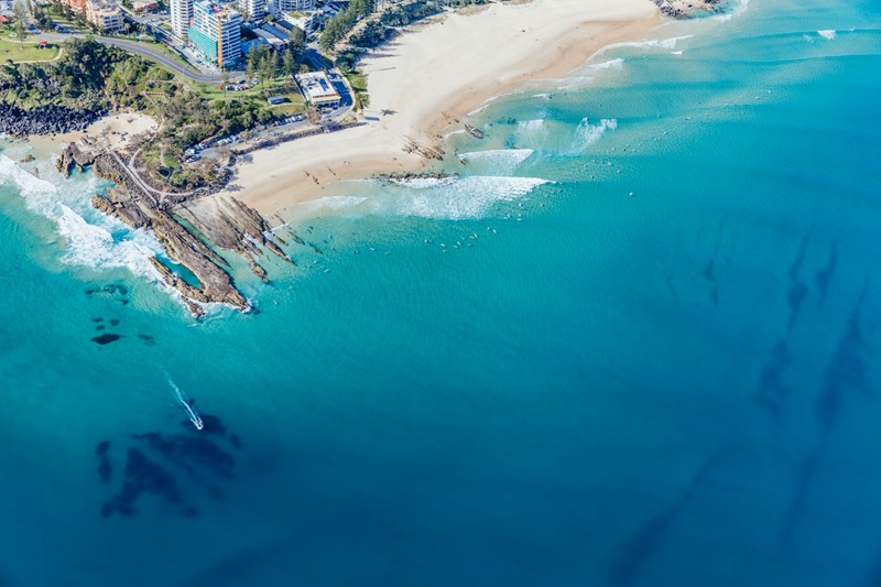 australia shark attacks 2026