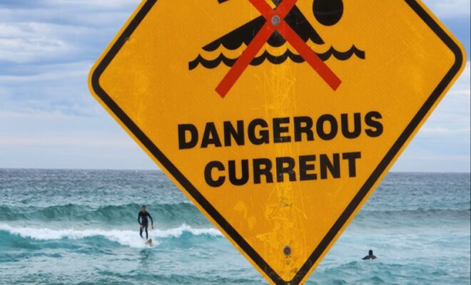 Australia Shark Attacks 2026