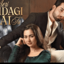 meri zindagi hai tu india 2026