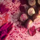 gulal gota tradition jaipur