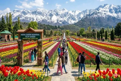 kashmir tulip festival 2026