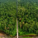 poba reserve forest biodiversity