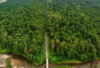 poba reserve forest biodiversity