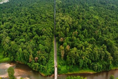 poba reserve forest biodiversity