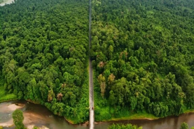 poba reserve forest biodiversity