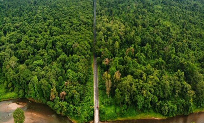 poba reserve forest biodiversity