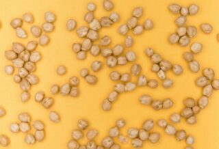 chickpeas moon soil experiment