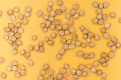 chickpeas moon soil experiment