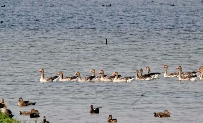shekha jheel ramsar site