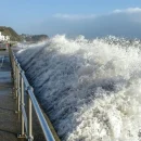 Japan earthquake 7.4