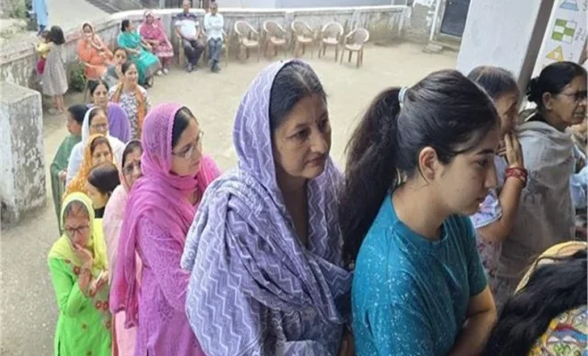 himachal pradesh civic polls 2026