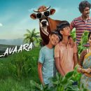 valavaara ott release