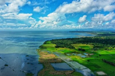 chilika lagoon conservation restores fish & biodiversity india