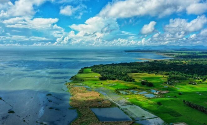 chilika lagoon conservation restores fish & biodiversity india