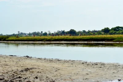 tamil nadu delta irrigation crisis