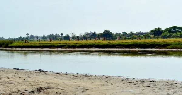 tamil nadu delta irrigation crisis