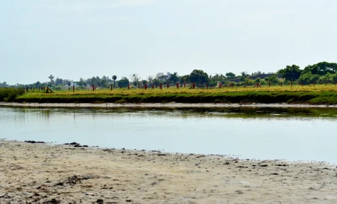 tamil nadu delta irrigation crisis