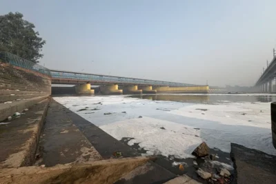 yamuna toxic froth