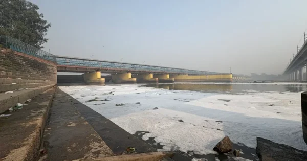 yamuna toxic froth