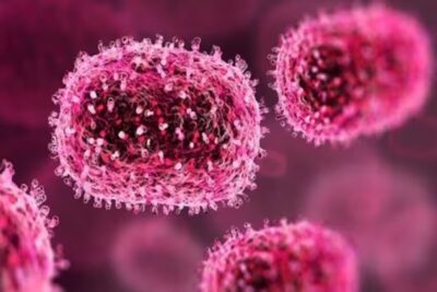 chandipura virus gujarat