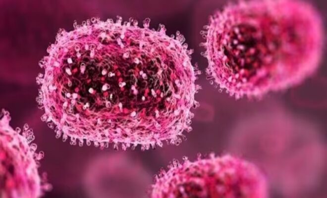 chandipura virus gujarat