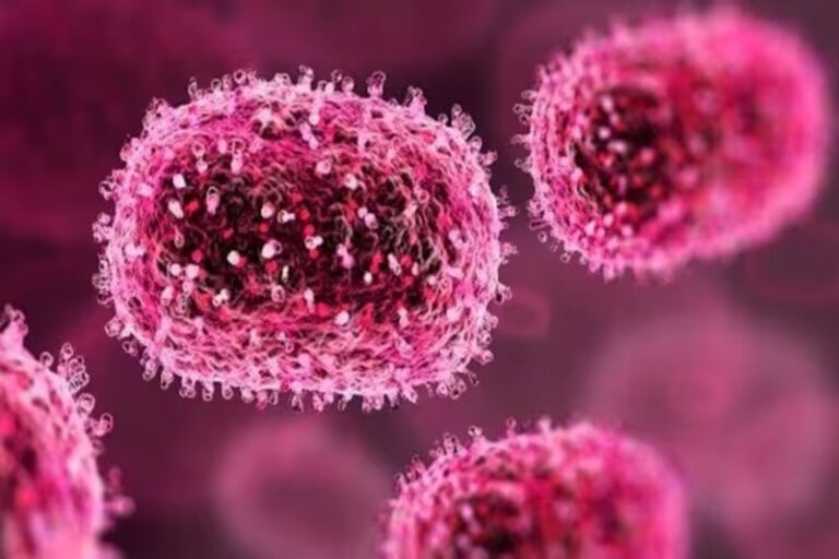chandipura virus gujarat