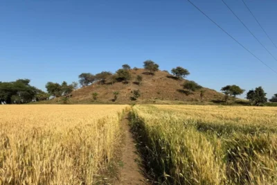 vaishya tekri and the ashoka