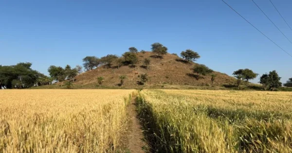 vaishya tekri and the ashoka