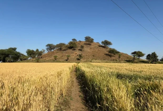vaishya tekri and the ashoka