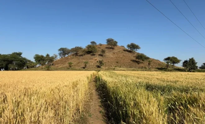 vaishya tekri and the ashoka