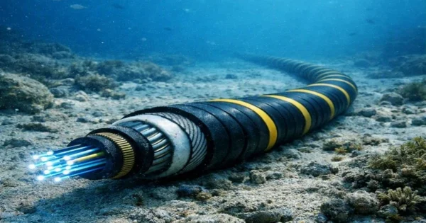 dual track subsea cable strategy
