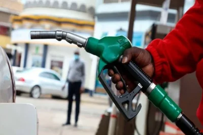 haryana elv fuel ban