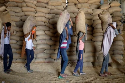 india’s wheat