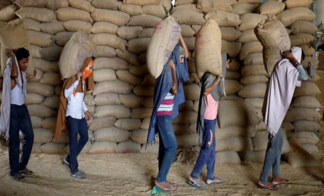 india’s wheat