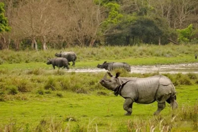 restoring india’s terai