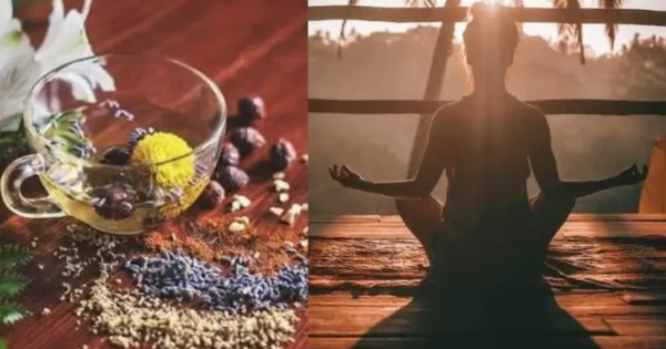 ayurveda vs modern medicine understanding safety standards and ayush certifications