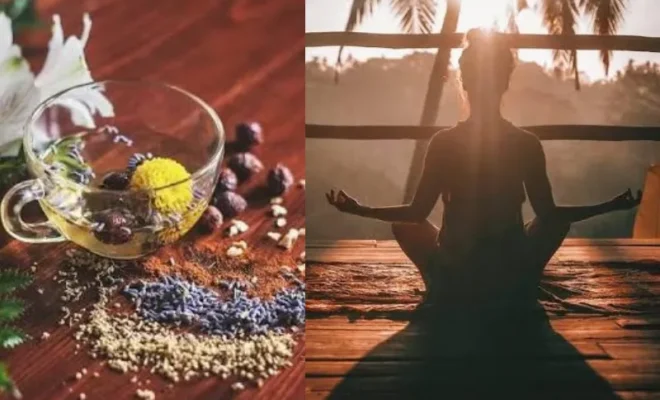 ayurveda vs modern medicine understanding safety standards and ayush certifications
