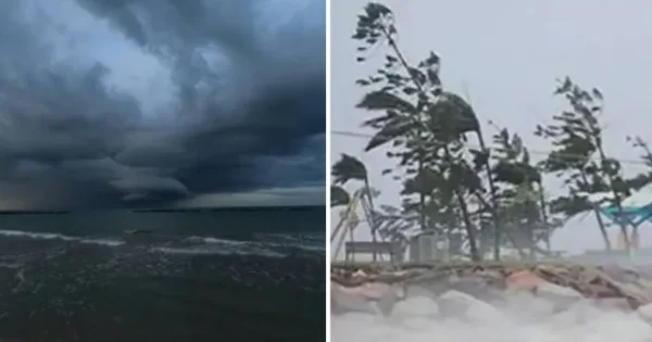 imd issues heavy rainfall and cyclonic storm warnings across kerala and coastal south india