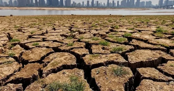 india's southwest monsoon